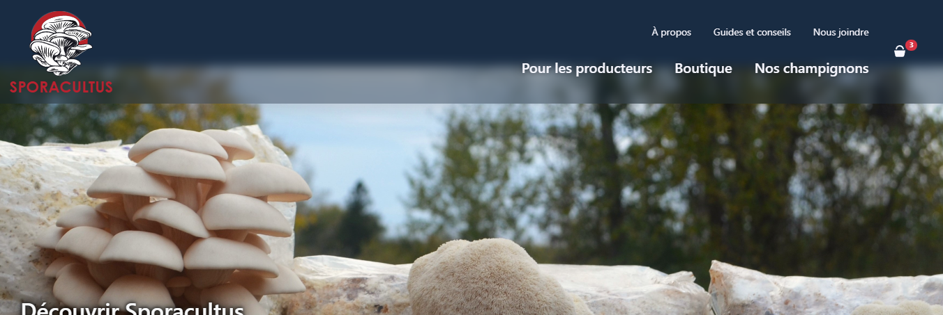 Aperçu du projet Sporacultus